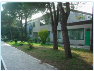 Scuola Primaria Goldoni