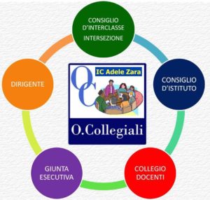 Organi Collegiali Organi Collegiali