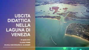 Laguna